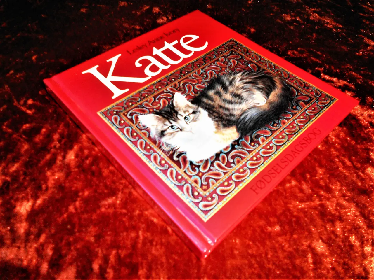 Billede 1 - Katte, Anne Ivory