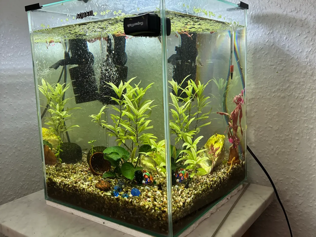 Billede 2 - 30 liter akvarium