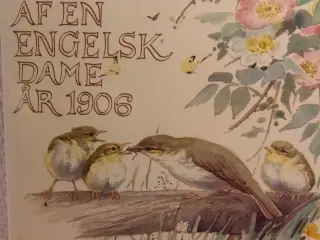 naturdagbog af en engelsk dame 1906