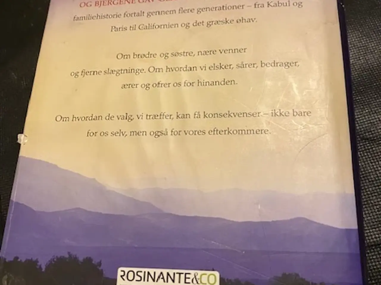 Billede 3 - Og bjerne gav genlyd