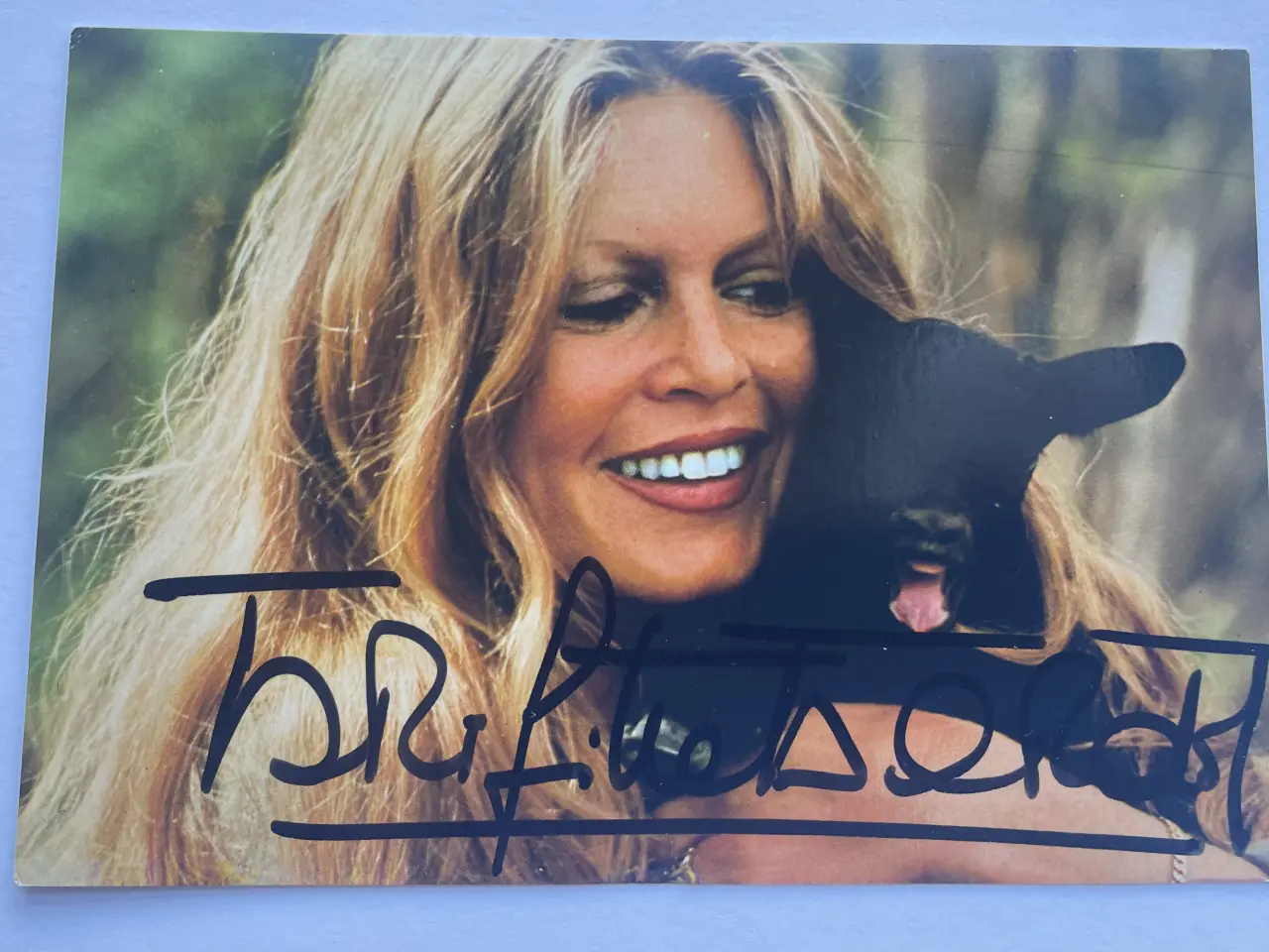 Billede 1 - Autograf af Brigitte Bardot (10x15cm) !