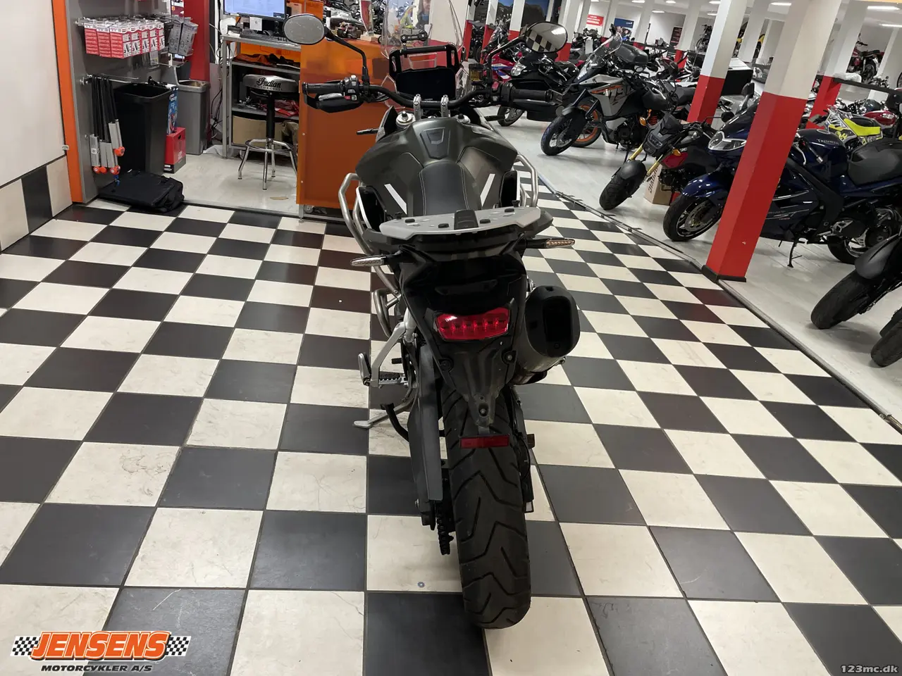 Billede 7 - Triumph Tiger 900 Rally Pro
