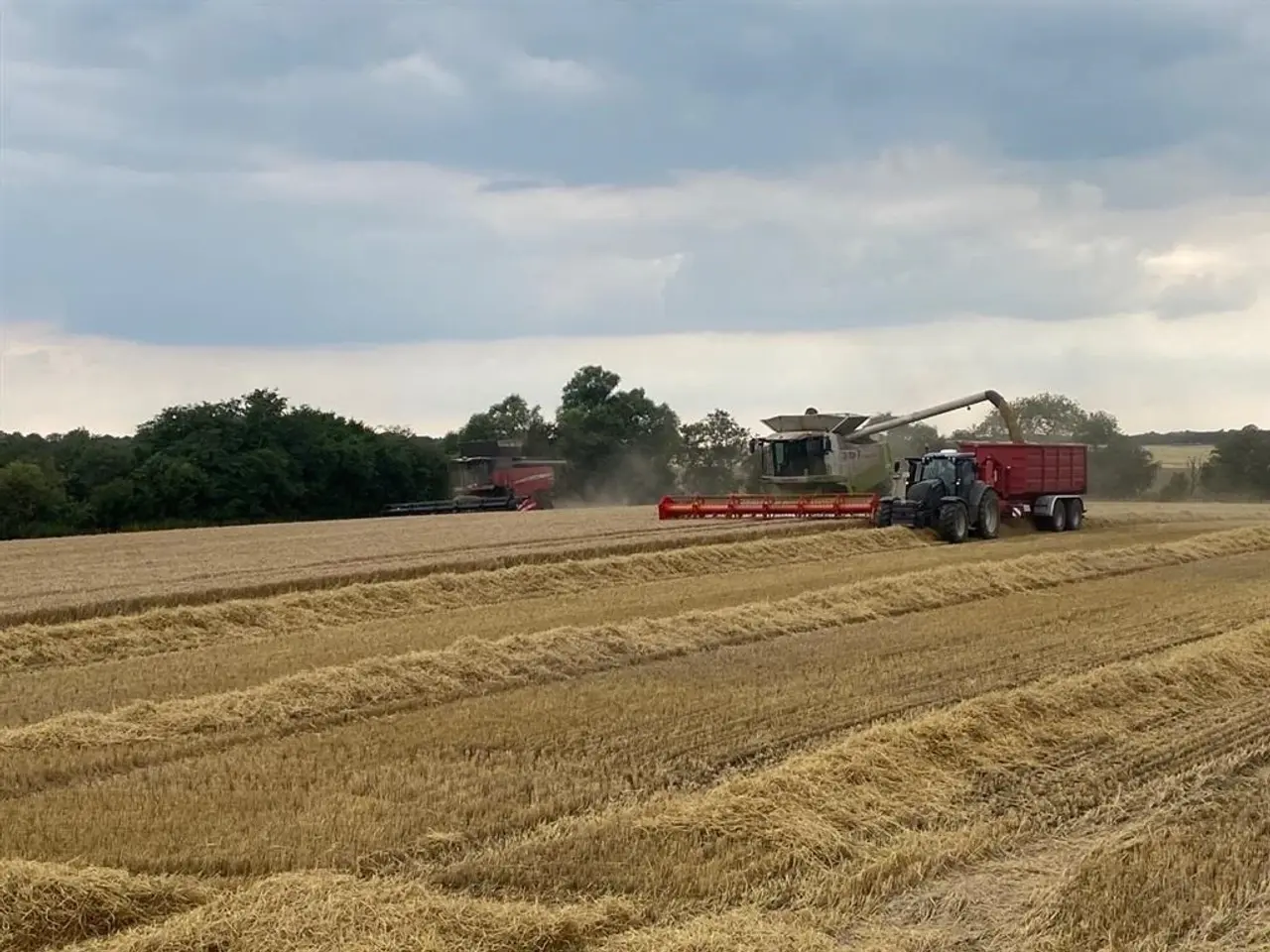 Billede 7 - New Holland MEJETÆRSKER KØBES