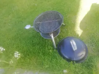 Mini gas grill