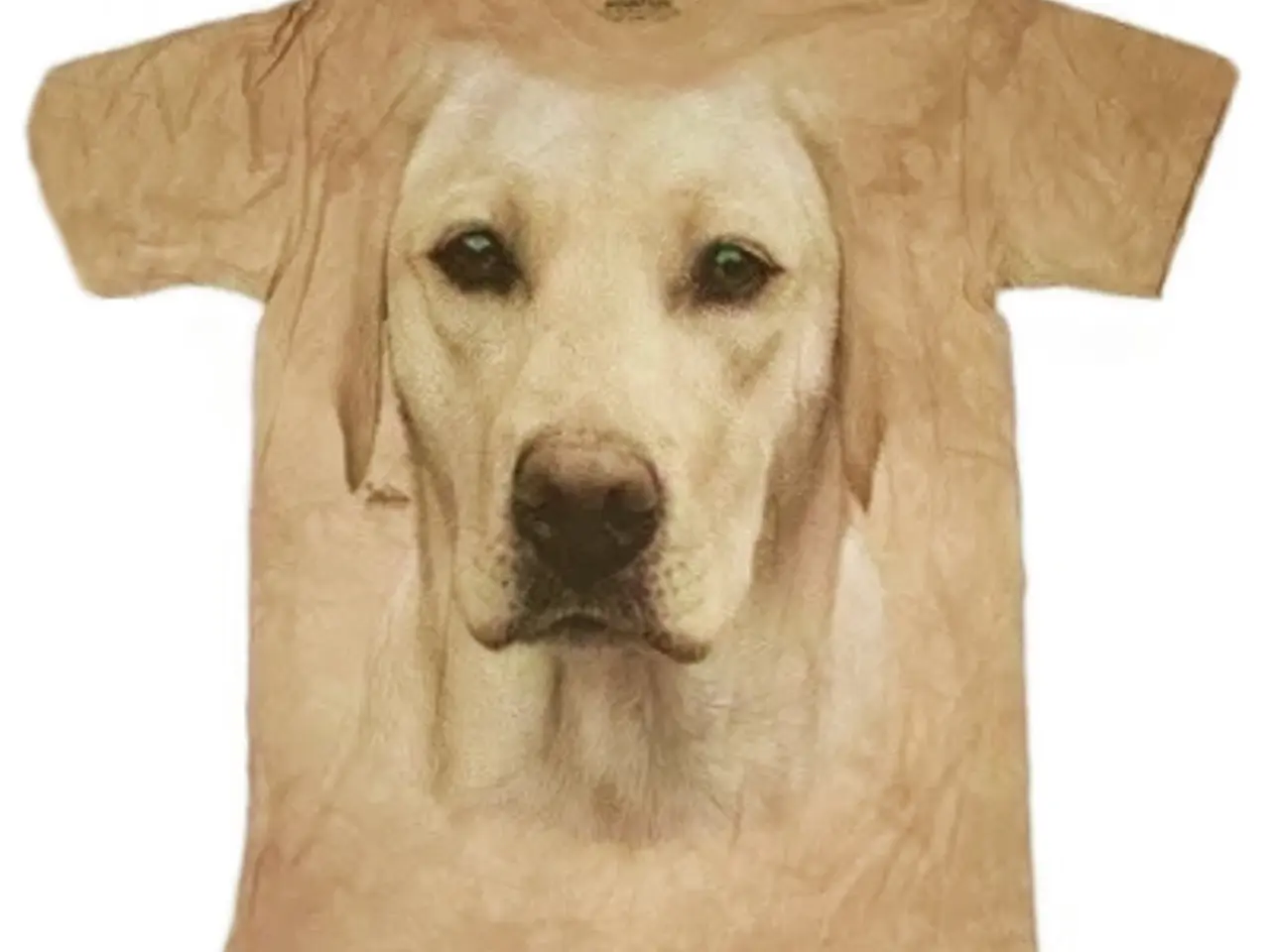 Billede 12 - The Mountain hunde T-shirts i flere str.