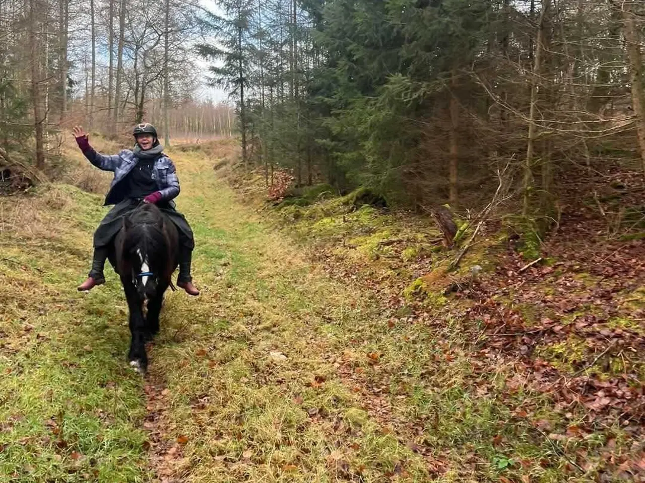 Billede 10 - Tinker/Irish cob vallak