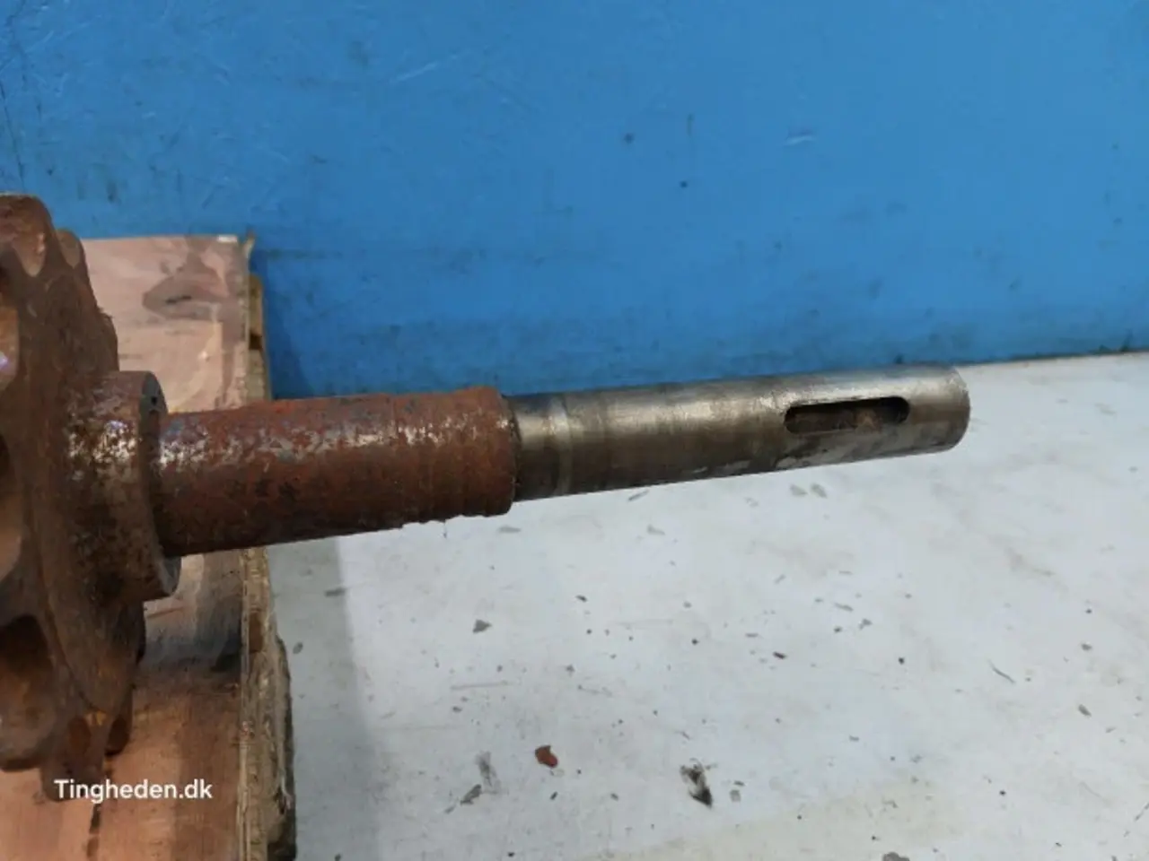 Billede 9 - Massey Ferguson 31 Aksel 28251751