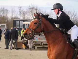 Tilridning af Hest