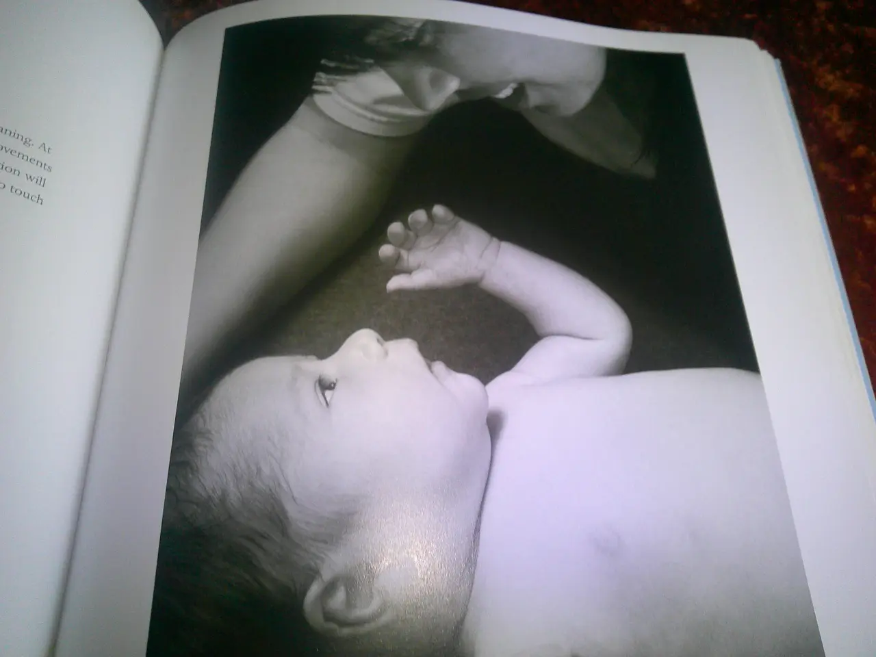 Billede 3 - Your Baby is Speaking to You, Kevin Nugent