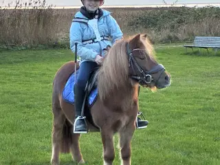 Verdens bedste børnepony