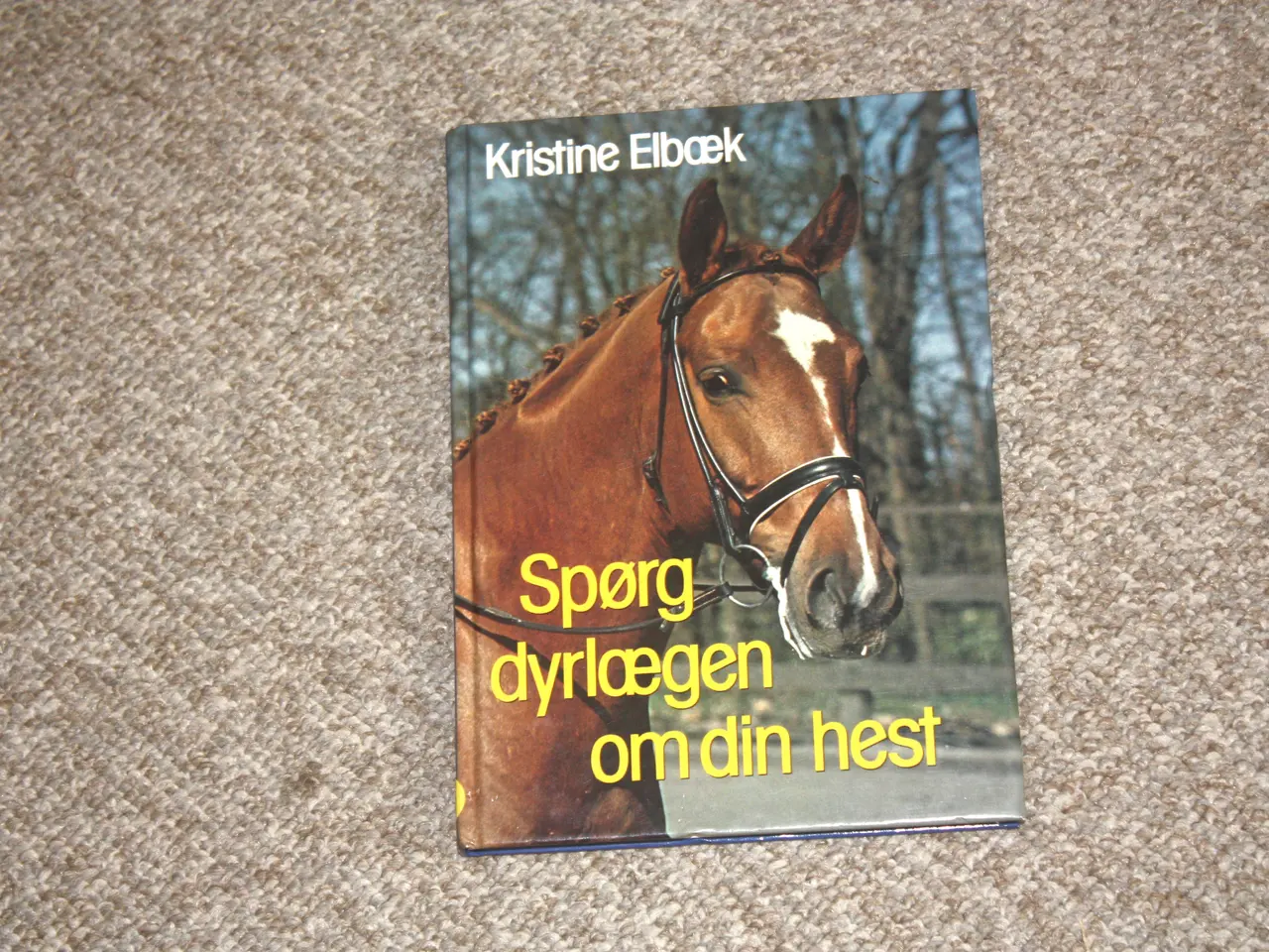 Billede 1 - Spørg dyrlægen om din hest af Kristine Elbæk
