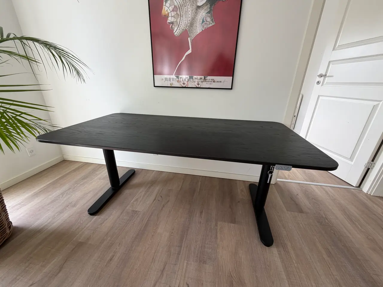 Billede 1 - IKEA BEKANT elektrisk hæve-/sænkebord