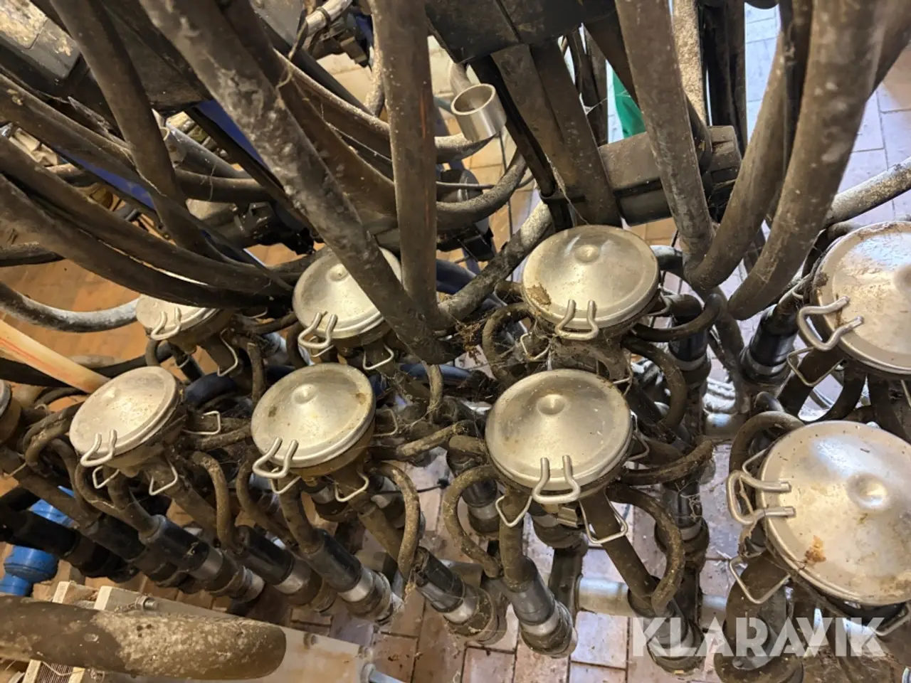 Billede 7 - Malkemaskine med aftager Alfa laval Milkmaster 8 styk