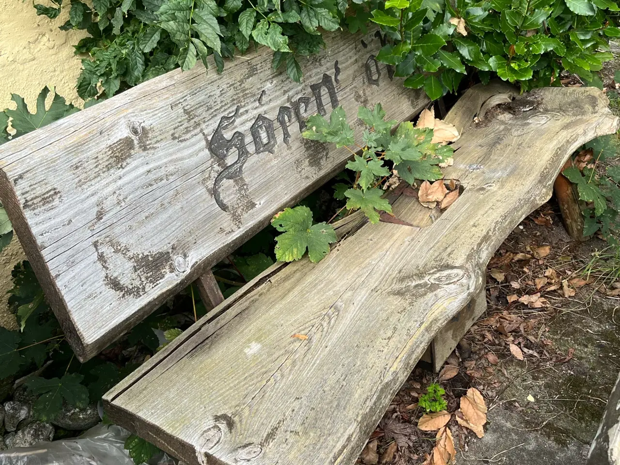Billede 3 - Havebord og bænk i træ