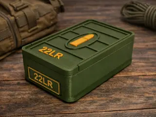 Ammo boks – .22 LR (66 patroner)