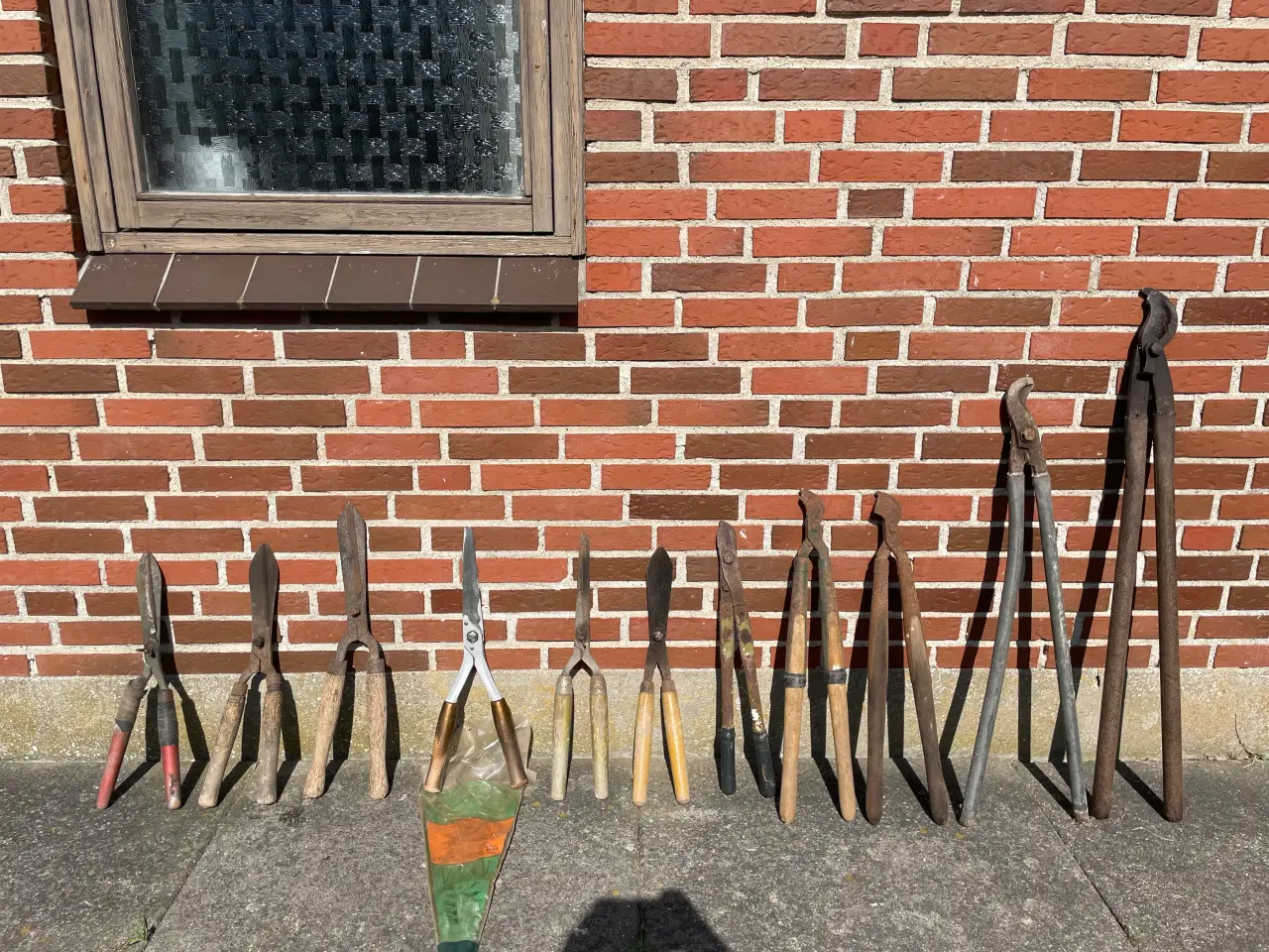 Billede 1 - Ørnenæb og hække sakse