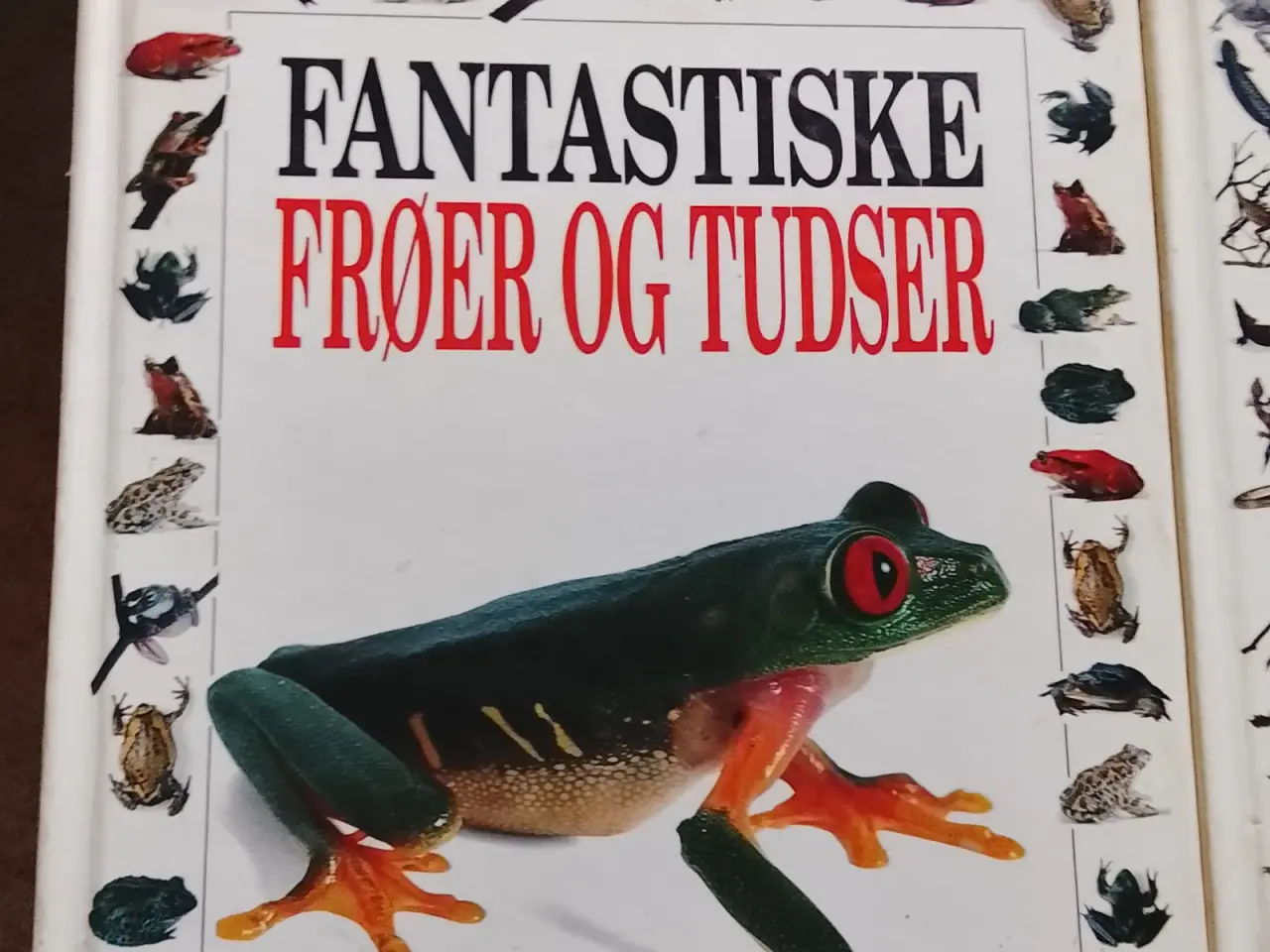 Billede 1 - Bøger sæłges..Fyñ