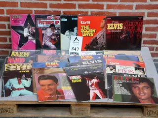 25 Stk Elvis Lpèr.