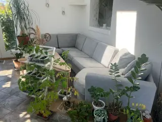 Skalma sofa – dansk kvalitet