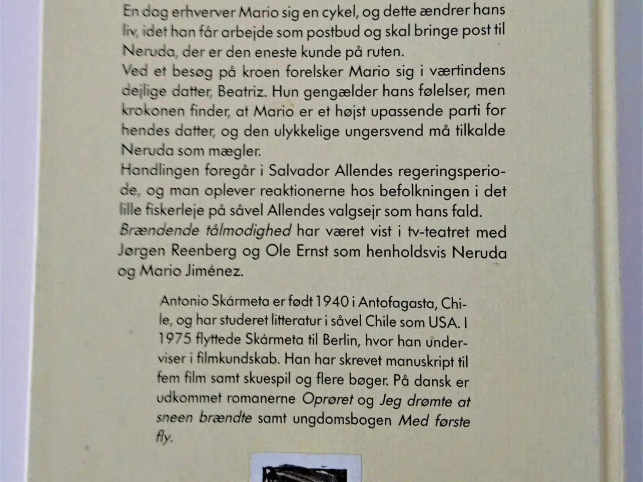 Billede 2 - Brændende tålmodighed. Af Antonio Skármeta