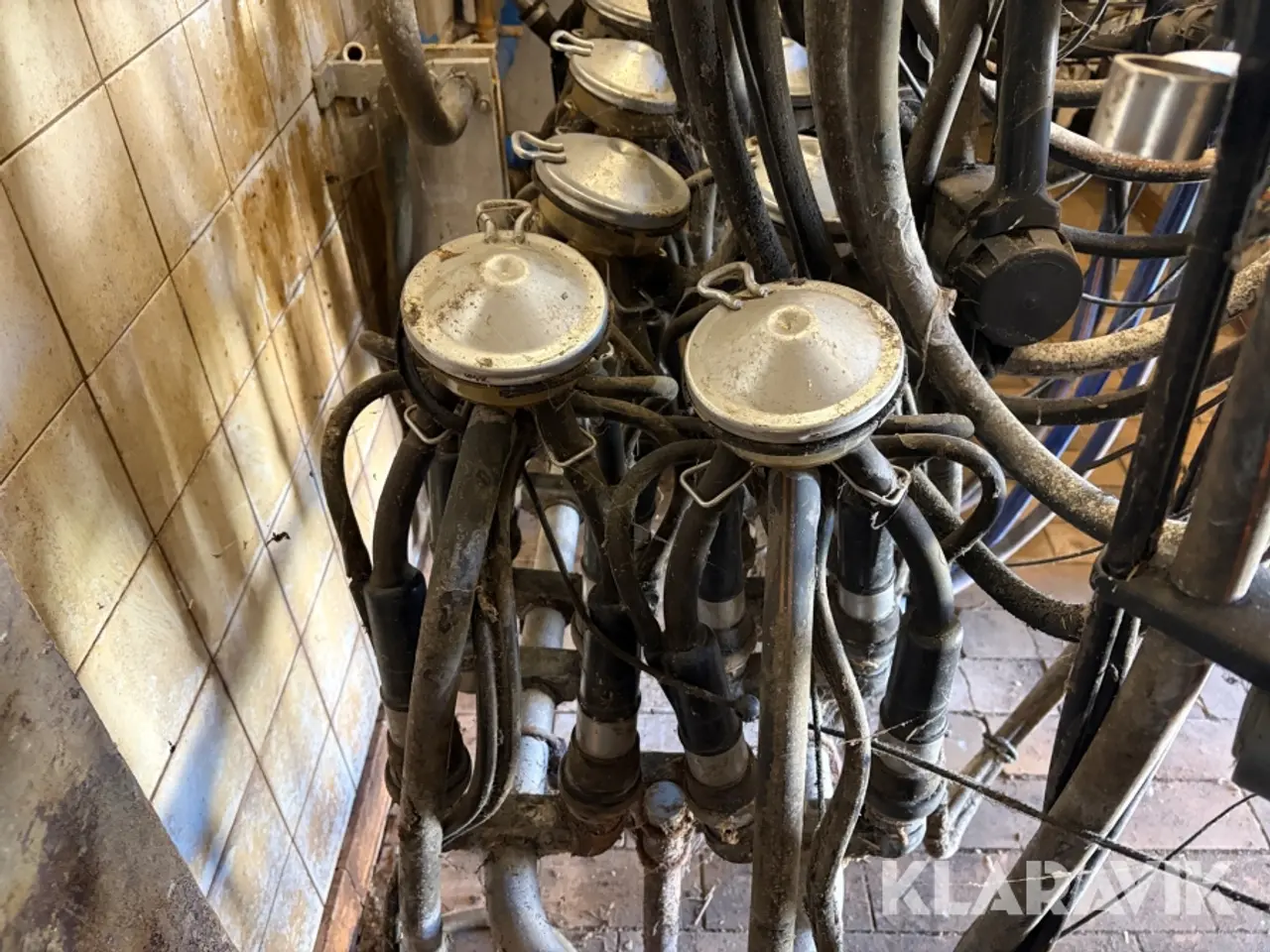 Billede 6 - Malkemaskine med aftager Alfa laval Milkmaster 8 styk