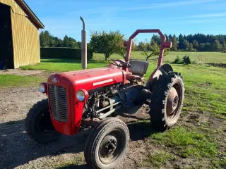 Massey-Ferguson traktor