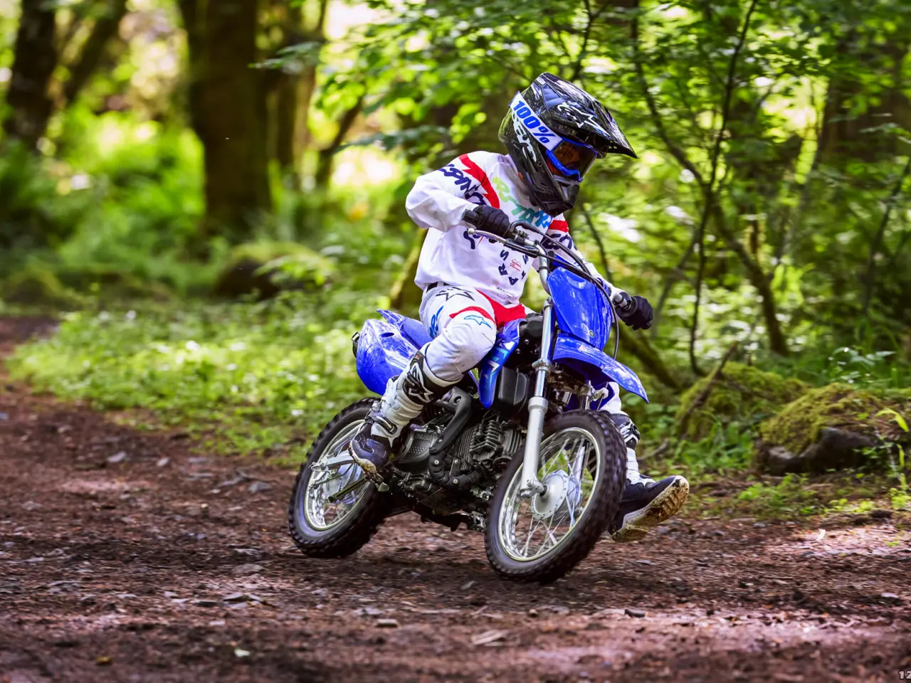 Billede 7 - Yamaha TT 110 R