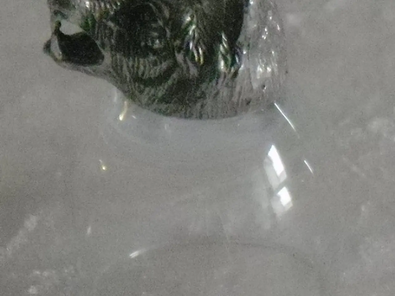 Billede 1 - Jagtglas med ulvehoved i tin