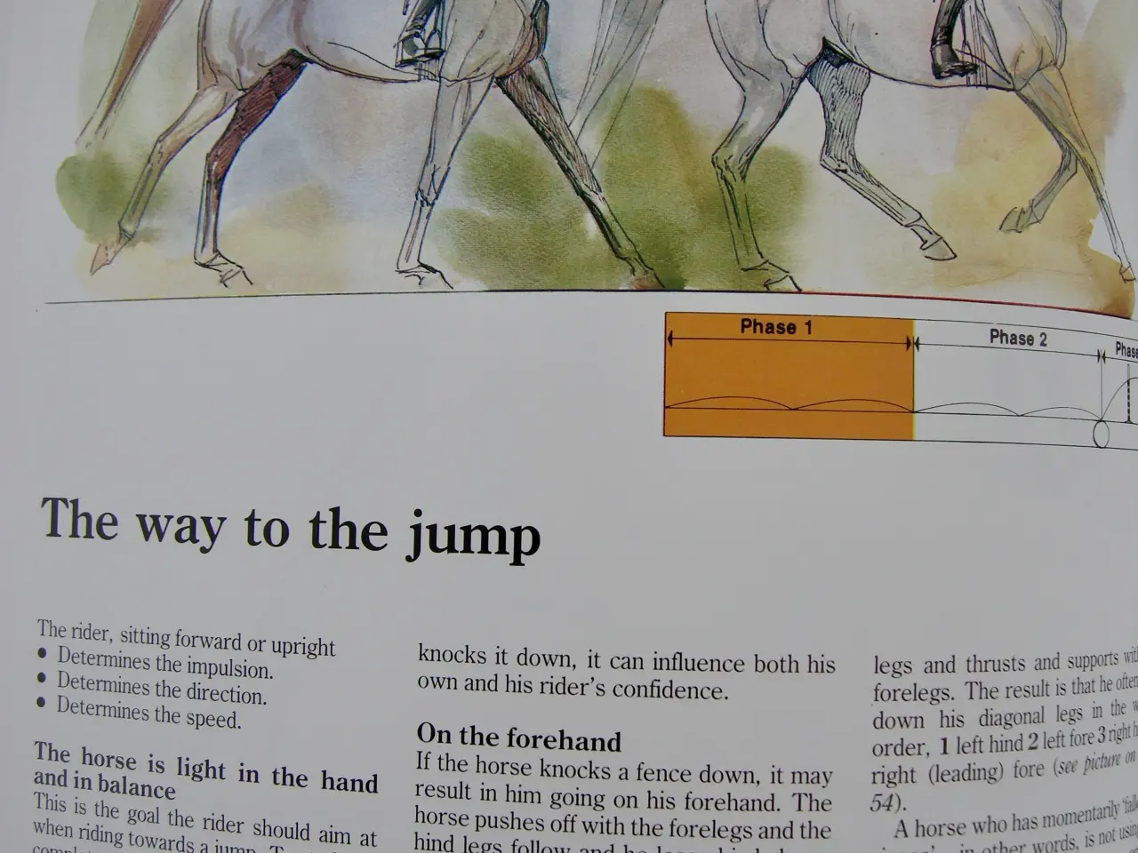 Billede 7 - THIS IS RIDING, Gunnar Hedlund, Hestebog engelsk