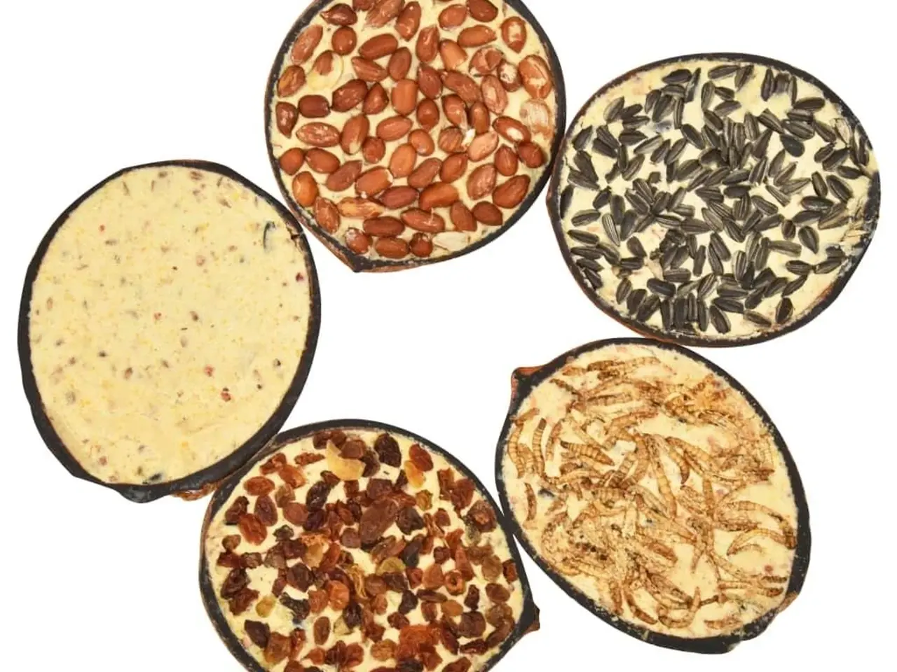 Billede 2 - Fuglefoder - 10 fyldte halve kokosnødder, 290 g