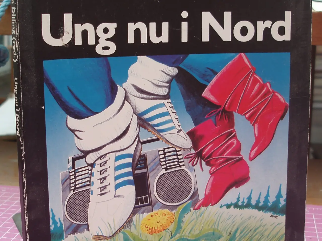 Billede 1 - Ung nu i Nord