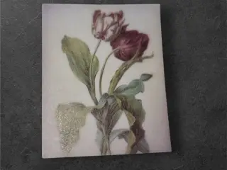 Papirark med botaniske tulipaner i bordeaux Gør di