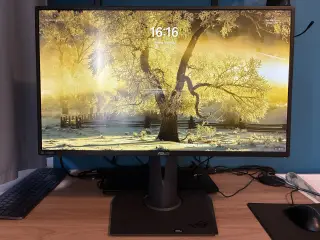Gamer/computerskærm