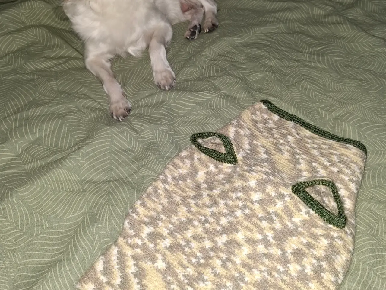 Billede 1 - Lækker Homemade bluse til små hunde.