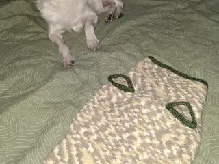Lækker Homemade bluse til små hunde.
