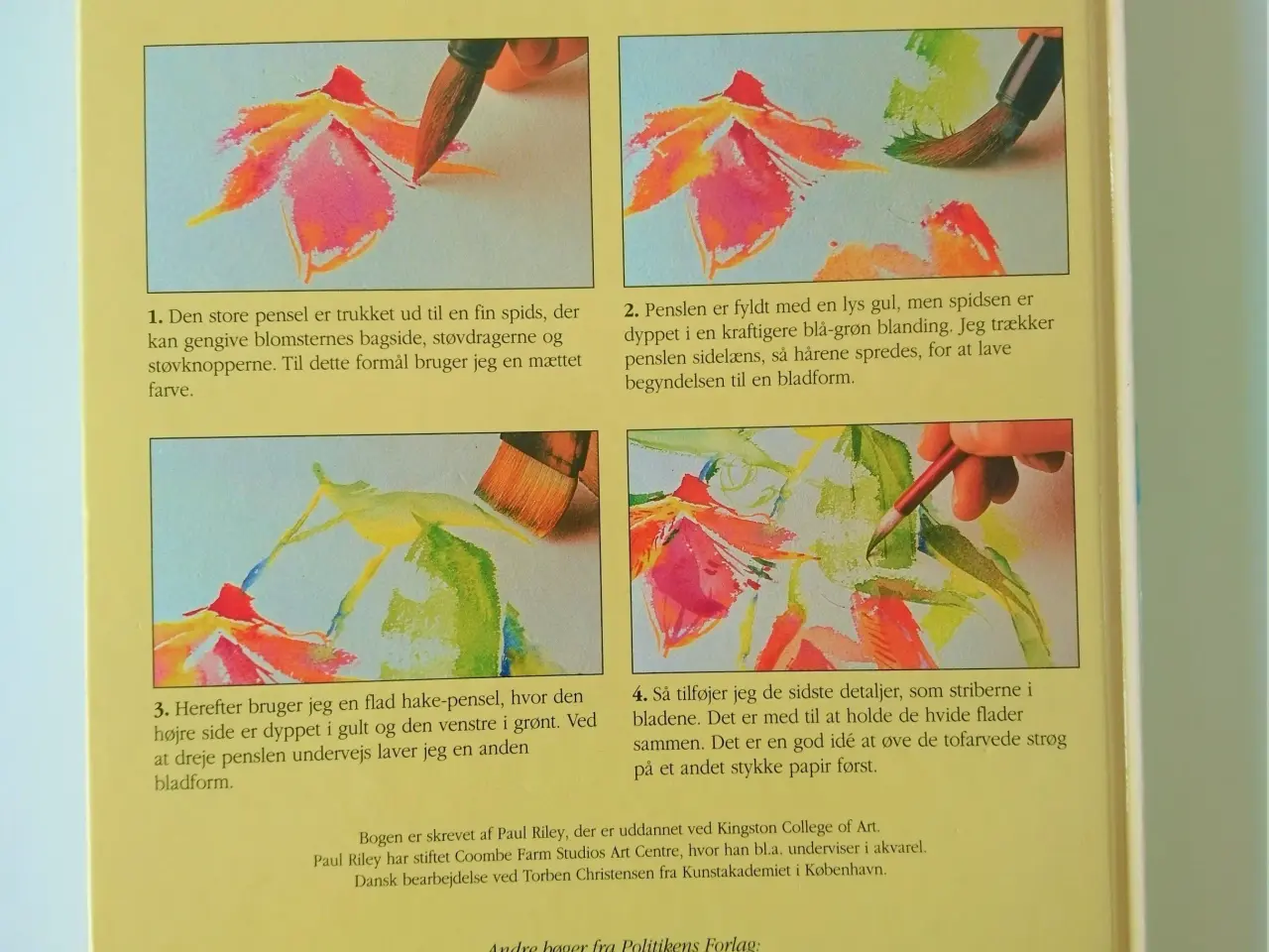 Billede 2 - Politikens bog om blomstermaleri - inspiration og