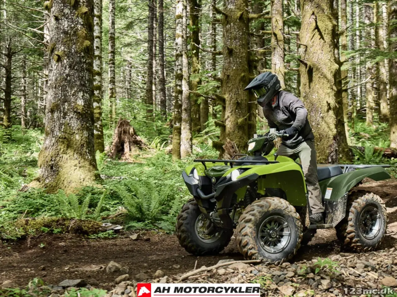 Billede 10 - Yamaha Grizzly 700 EPS