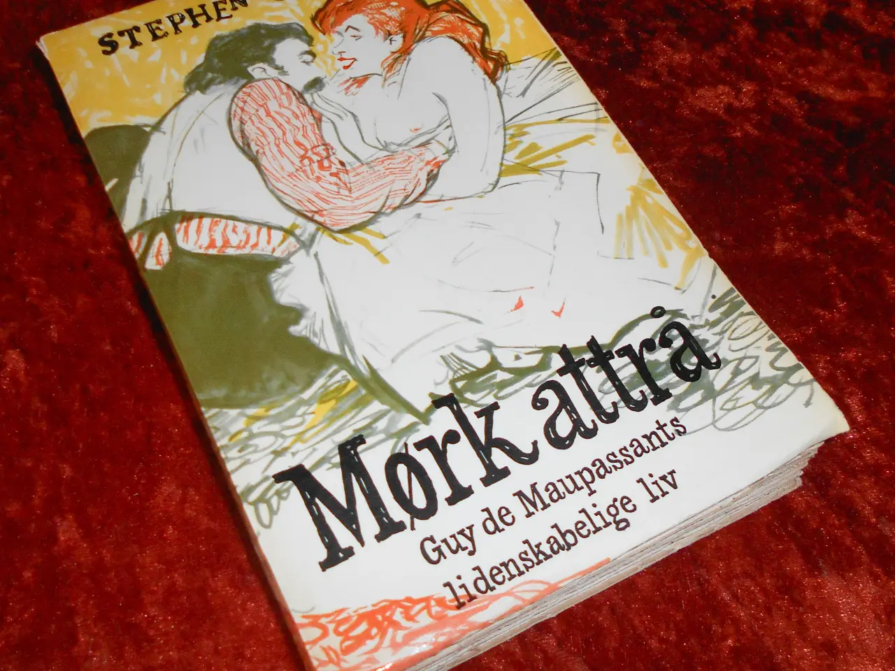 Billede 1 - Mørk attrå, Stephen Coulter