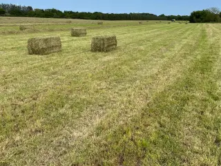 Wraphø