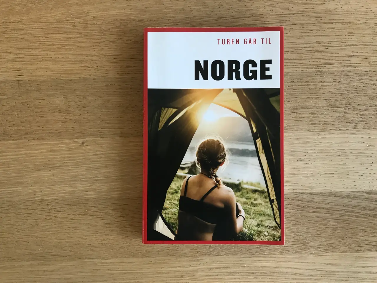 Billede 1 - Turen går til NORGE