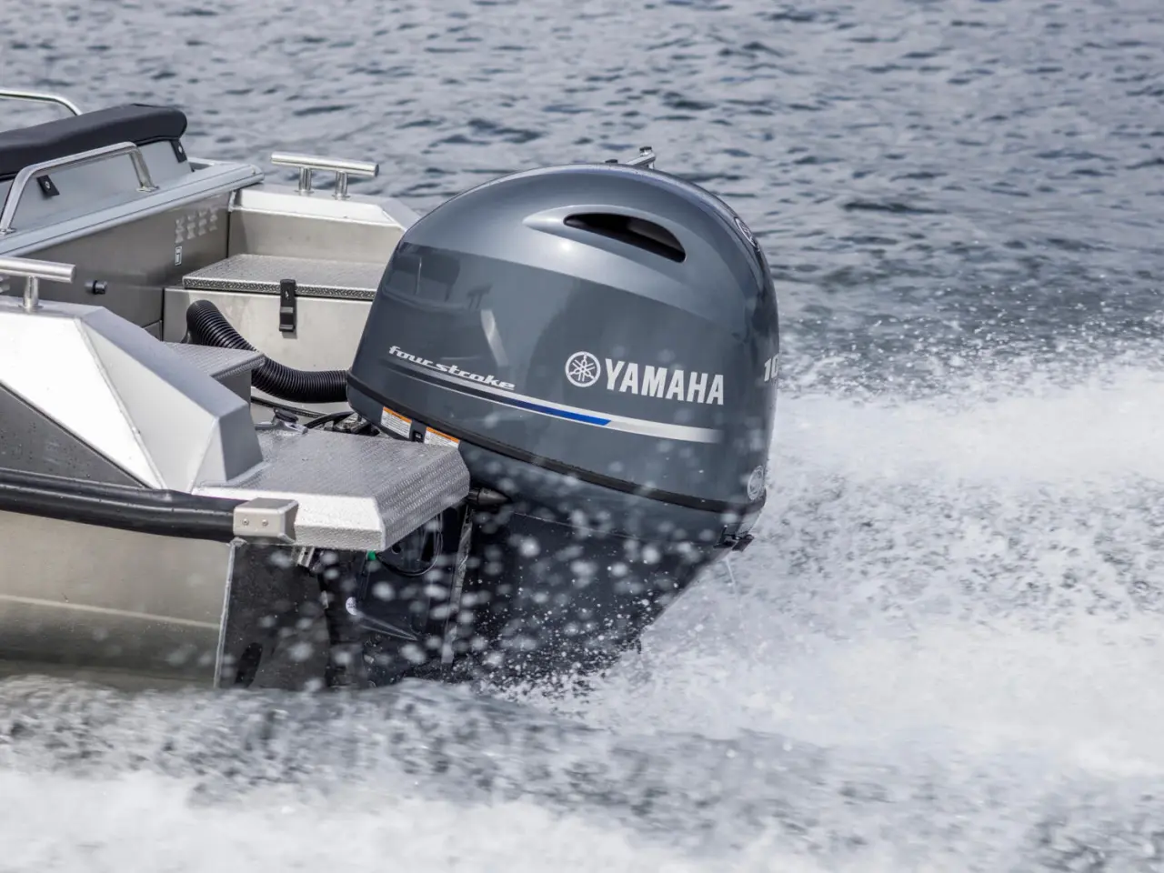 Billede 4 - Yamaha F100LB
