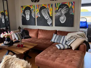 3 farverige chimpansebilleder sælges samlet