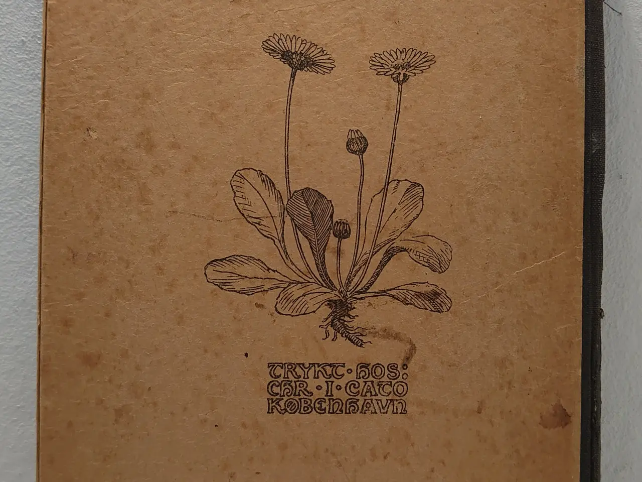Billede 2 - J. E. Lange: Vilde Planter i Have,Paa Mark og Eng.