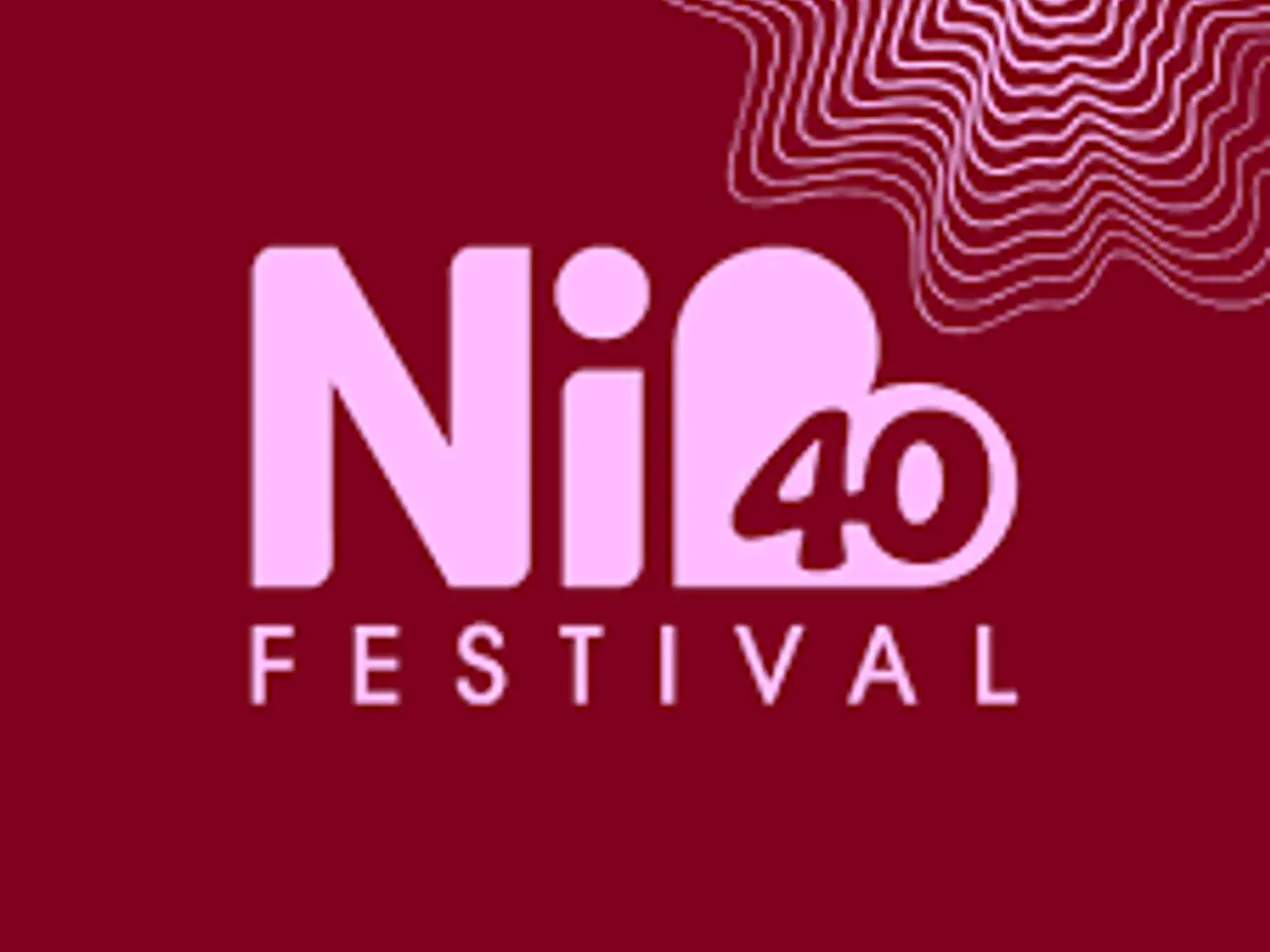 Billede 1 - Søges: 2 stk. Nibe Festival til lørdag el. partout