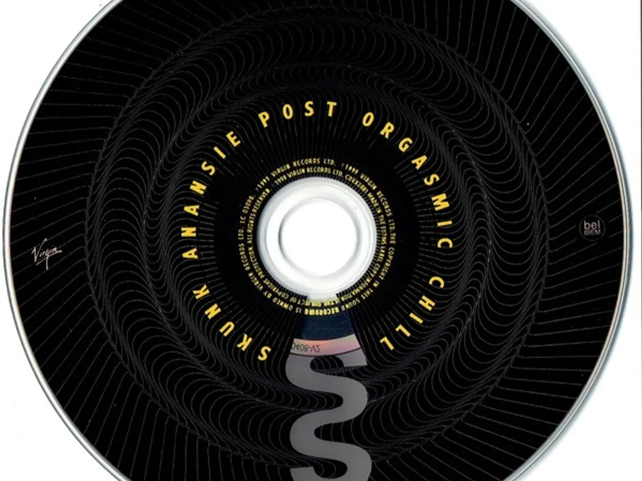 Billede 3 - Skunk Anansie – Post Orgasmic Chill – CD
