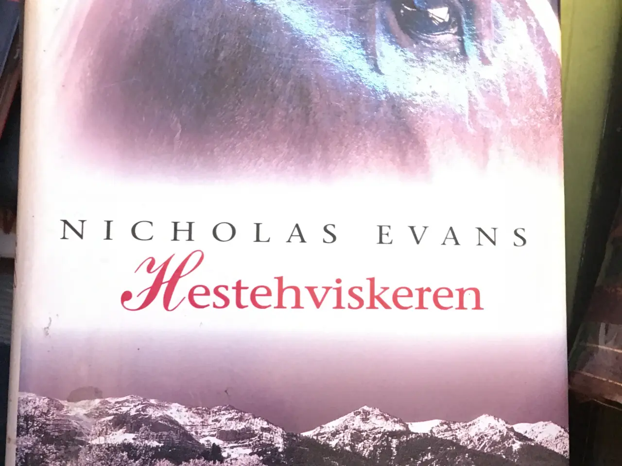 Billede 1 - Hestehviskeren