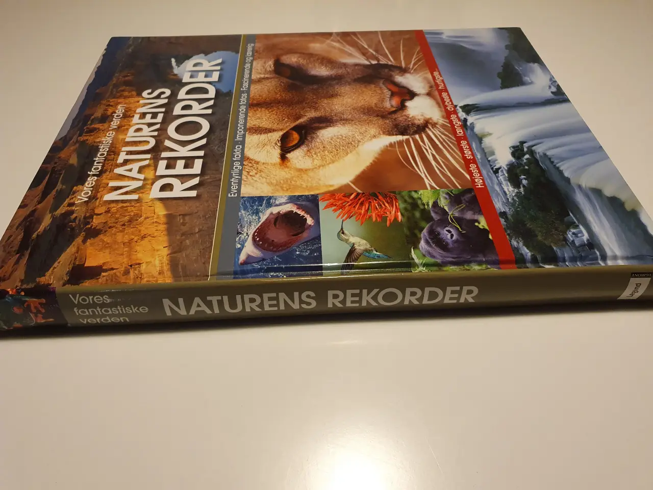 Billede 10 - Naturens Rekorder. Vores fantastiske verden