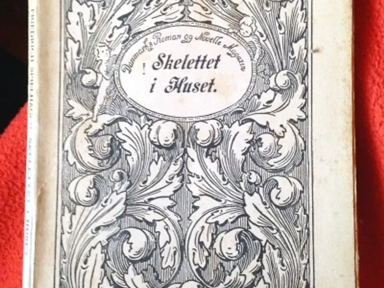 Billede 1 - Friedrich Spielhagen: Skelettet i huset