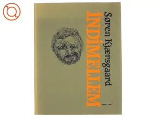 Indimellem af Søren Kjærsgaard (bog)