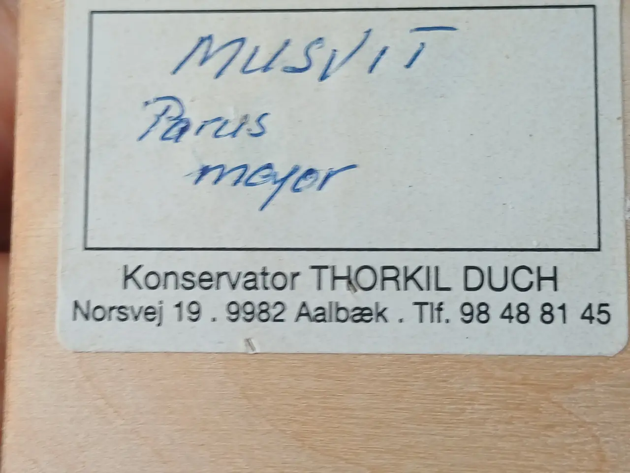 Billede 6 - Udstoppet Musvit - Skagen